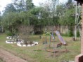 /album/unidade-vargem/vargem-15-jpg/
